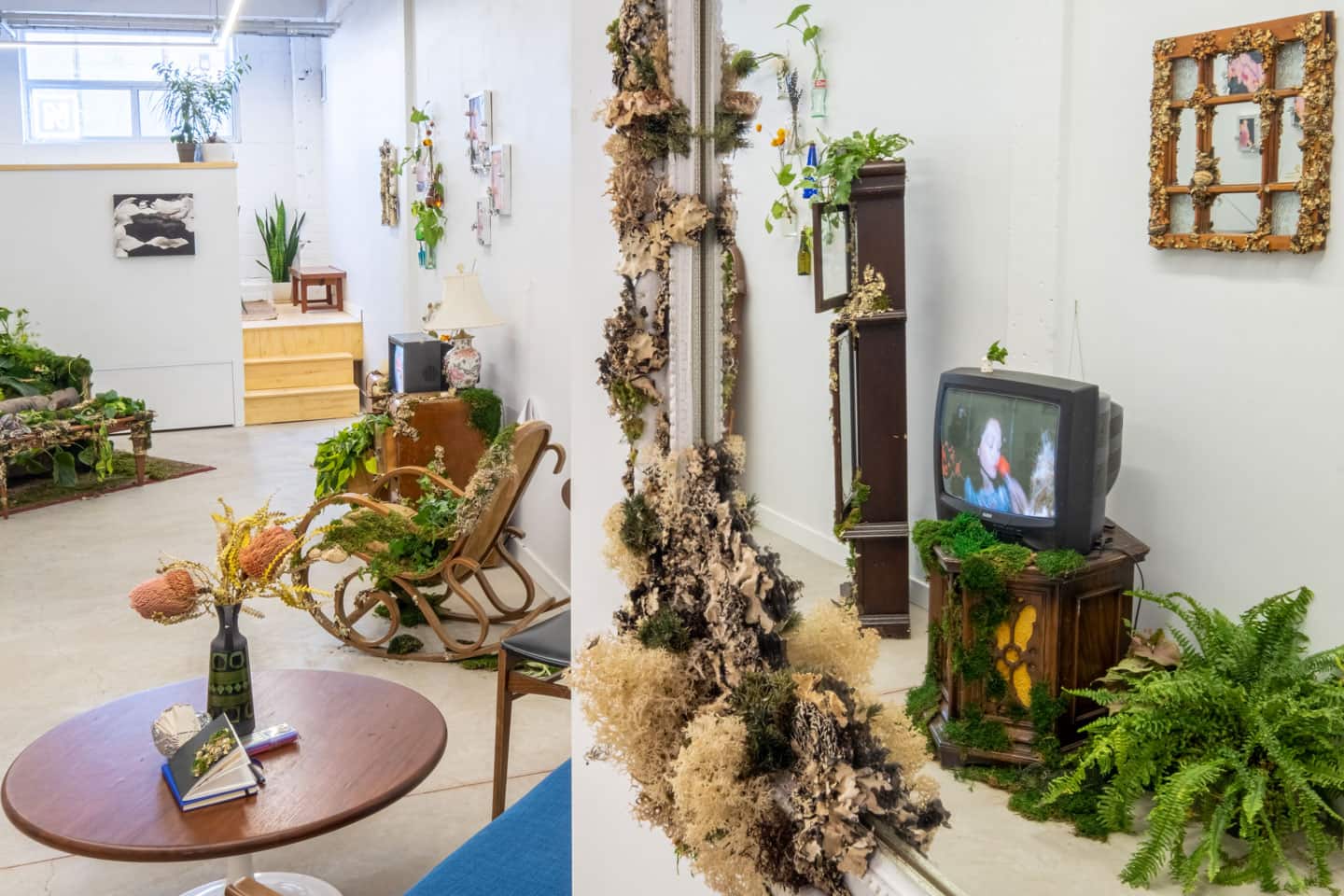 Peculiar Movements/Green Junctions at NAMARA projects